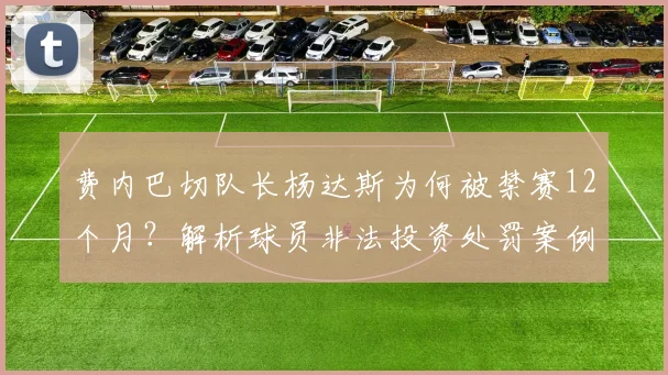 费内巴切队长杨达斯为何被禁赛12个月?解析球员非法投资处罚案例与对球队影响